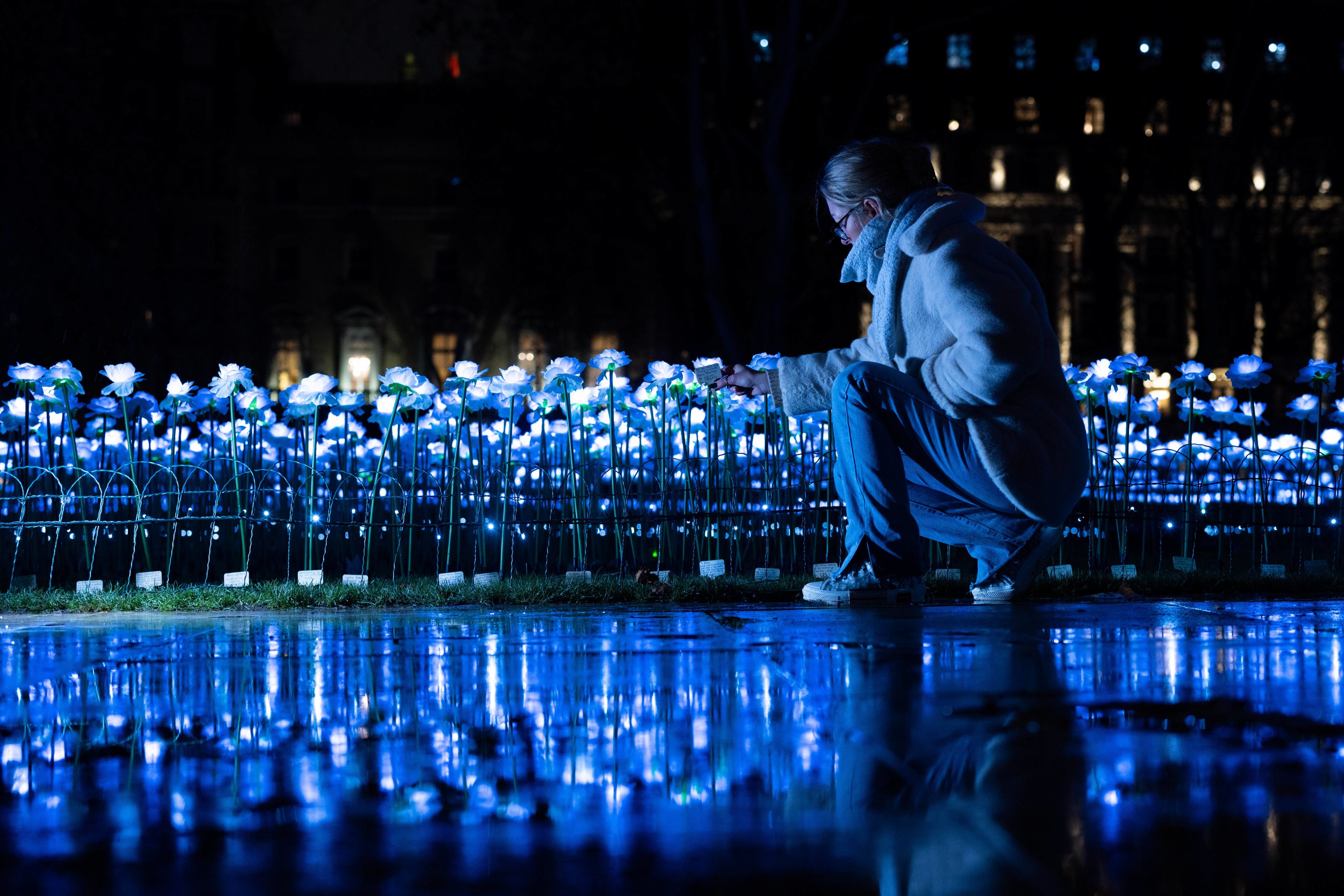 A woman crouches down in the ever after garden. The light from the illuminated roses is reflecting across the ground.
