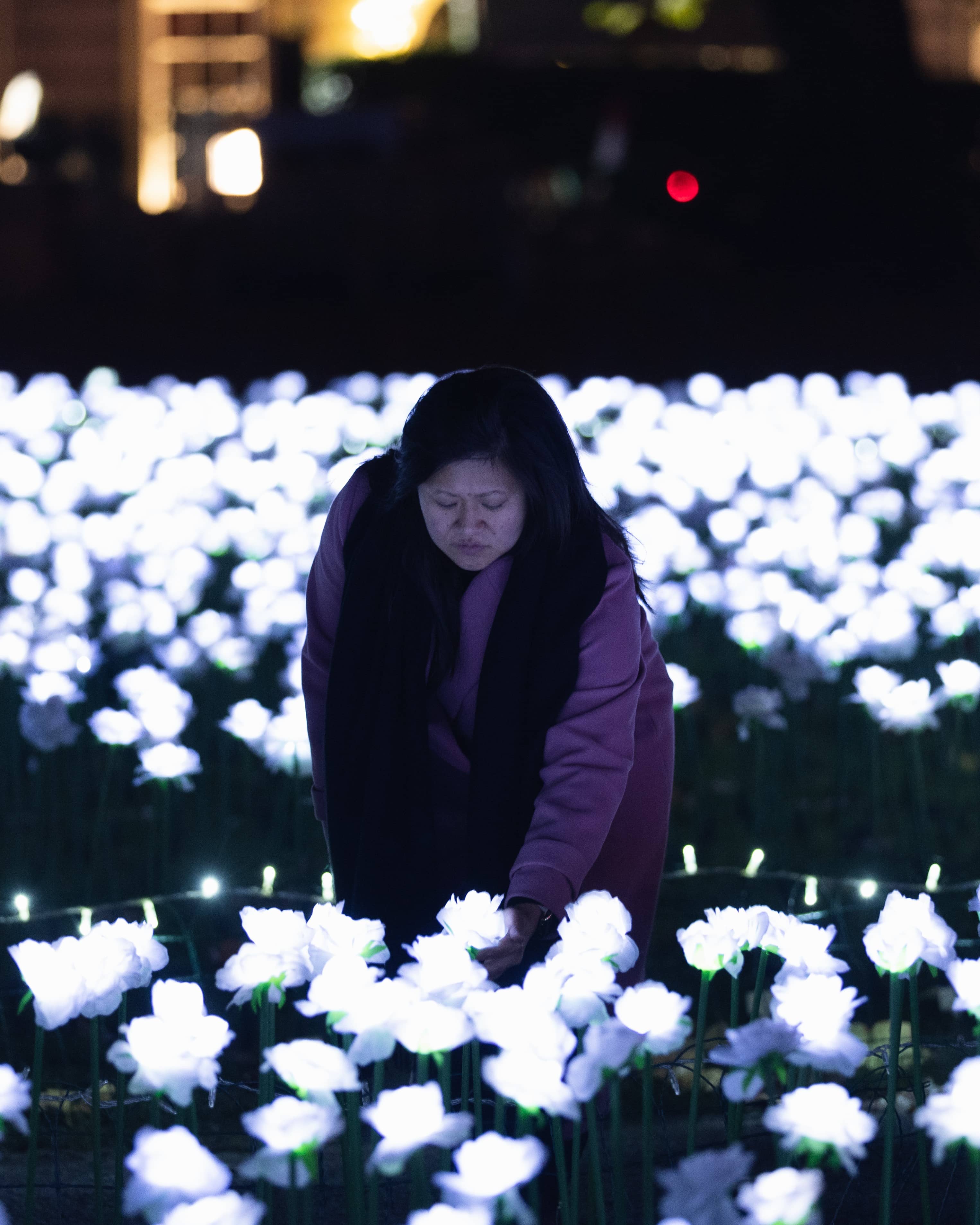 A young woman in a light pink coat, kneeling down to look at a dedication in the ever after garden.