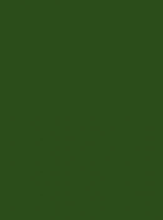 Solid green colour background