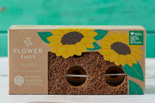 Product photo of the sun-flowering brick gift in colourful packaging by Marks and Spencer supporting the The Royal Marsden Cancer Charitie's Oak Cancer Centre Appeal.