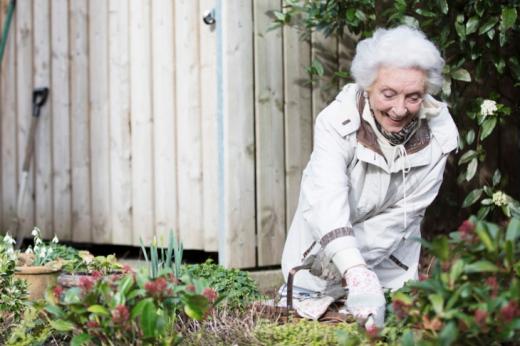 Shirley gardening at home