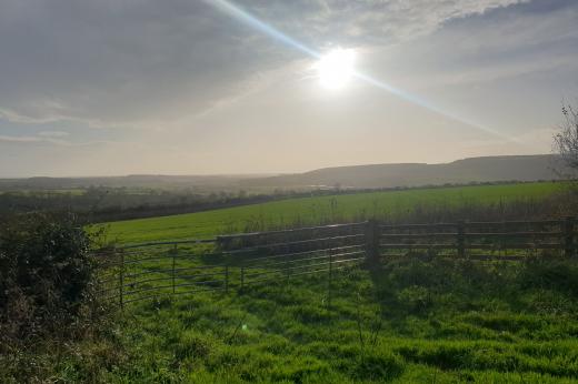 View across the South Downs 