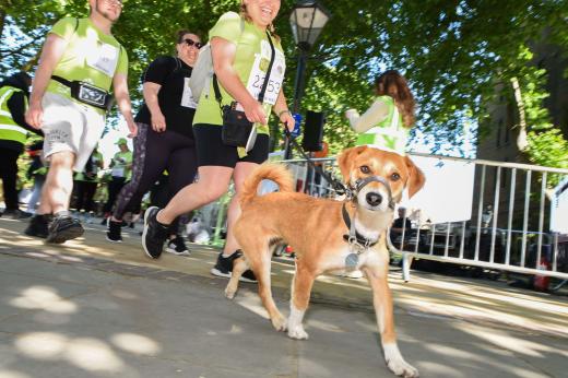 A group of Banham Marsden Marchers with their dog, taking part in the walk. The photo is take at the dog's level and looking upwards. 