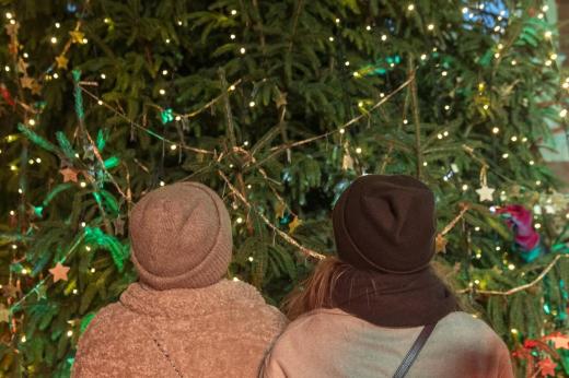 The backs of two people looking up at the large Christmas tree decorated in lights and gold stars