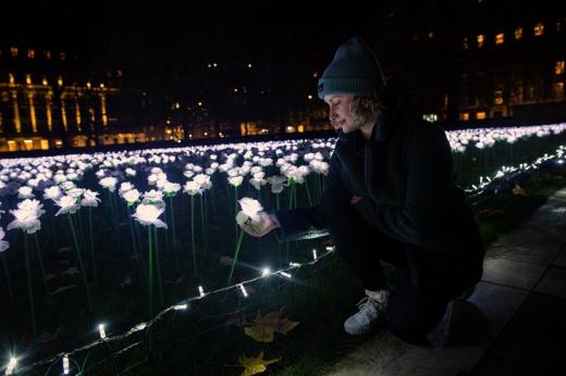 A person crouching down next to a London square filled with illuminated white roses