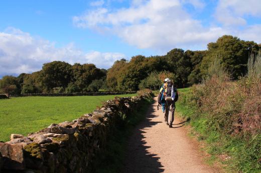 Walkers on a path with a dry stone wall, surrounded by greenery along the Camino de Santiago trek