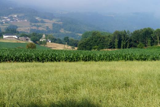 Hilly countryside scenery on the Camino de Santiago trek