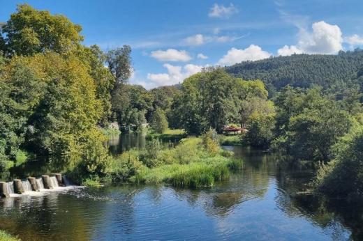 Scenery of river and trees on the Camino de Santiago trek 