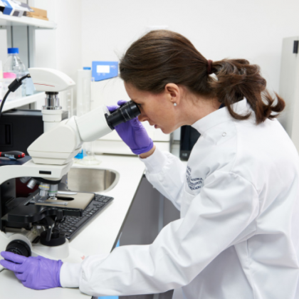 A researcher looks down a microscope