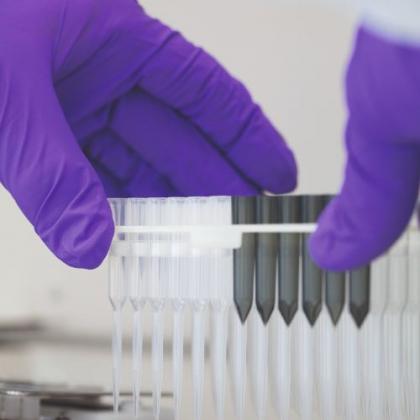 Test tubes in a research lab