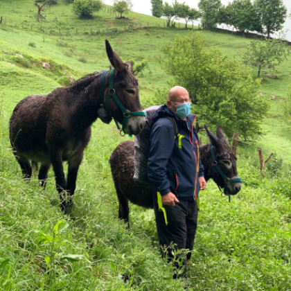 murray with donkeys