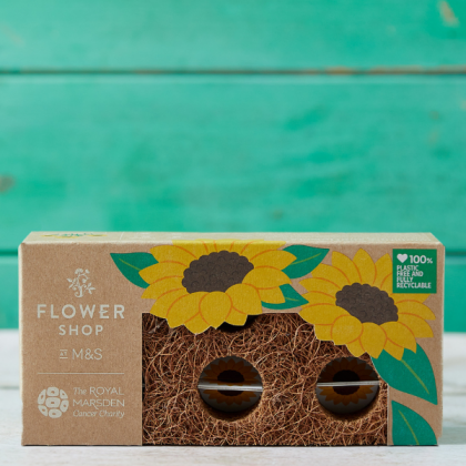 M&S The Royal Marsden Cancer Charity mothers day partnership sunflower brick 