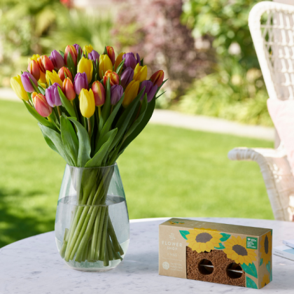 Photo of the Sun flowering brick in colourful packaging and tulip bundle from M&S