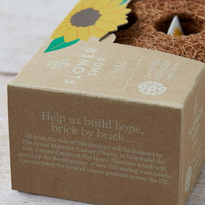 A close up of the sun-flowering brick from the M&S bundle