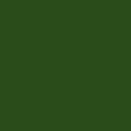 Solid green colour background
