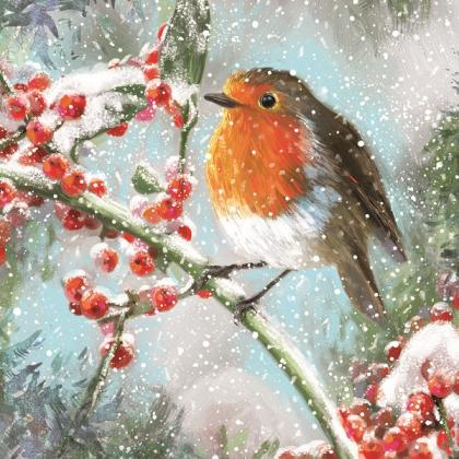 The front design of a Royal Marsden Cancer Charity Christmas card. depicting a Robin sitting on a branch in the snow