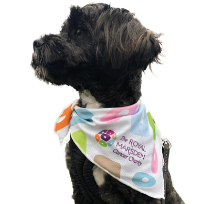 A small black fluffy dog looking to the side, with a Royal Marsden Cancer Charity bandana tied around its neck