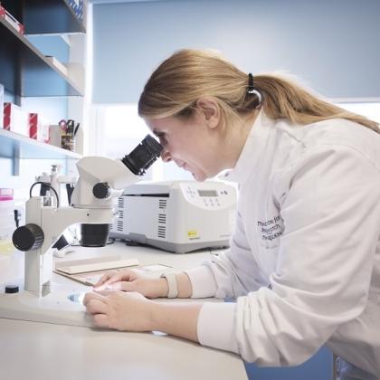 A researcher at the Ralph Lauren Centre for Breast Cancer Research wearing a lab coat, she is leaning over a lab bench and taking a look inside a microscope.