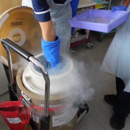 A nurse's gloved hand reaching into a medium-sized sterile container that's standing on the floor. Steam (from cold ice) is pouring out of the container.