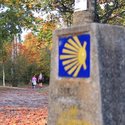 Signposts and walkers on a wooded path along the Camino de Santiago trek