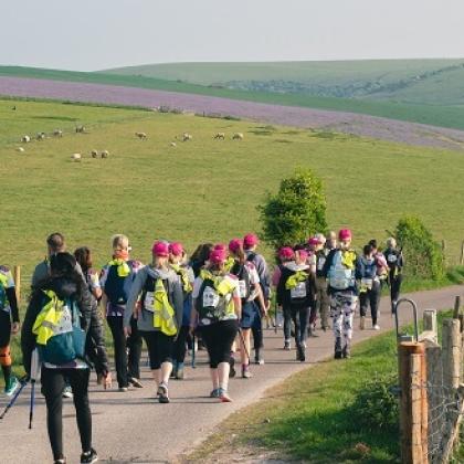 RMCC trekkers walking over the South Downs with sheep and lavender fields in the background