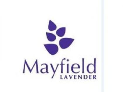Mayfield lavender logo