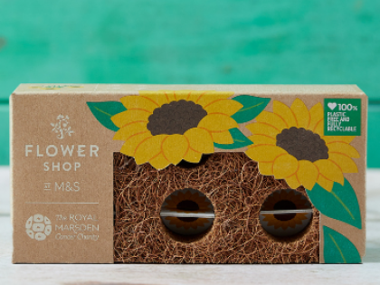 The Sunflower brick in packaging