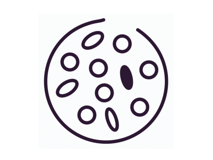 illustration of cells 