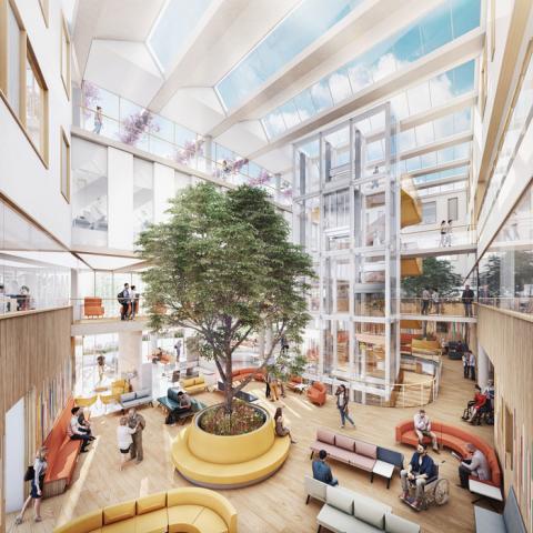 Waiting room with couches, people waiting and a tree in the middle of the room