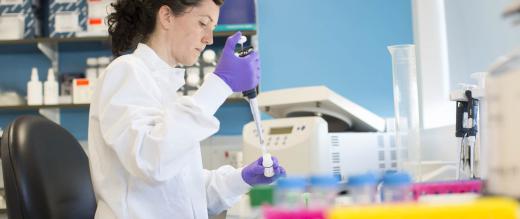 Researcher