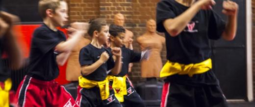 Phoenix School of Martial Arts students being put through their paces