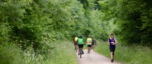 South Downs Trail