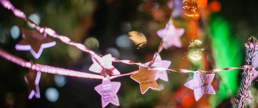 Celebrate a Life stars
