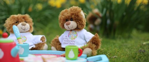 teddy bears picnic