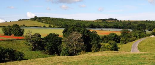 Cotswolds view