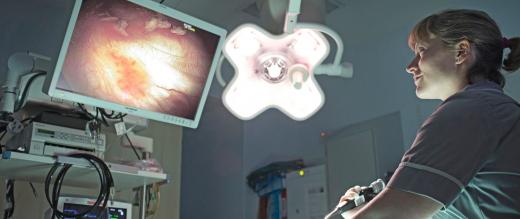 Nurse in the endoscopy unit