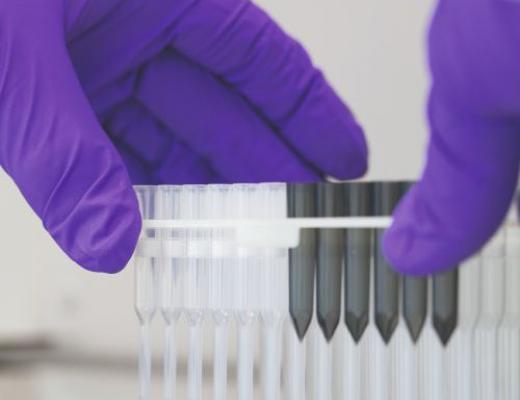 Test tubes in a research lab