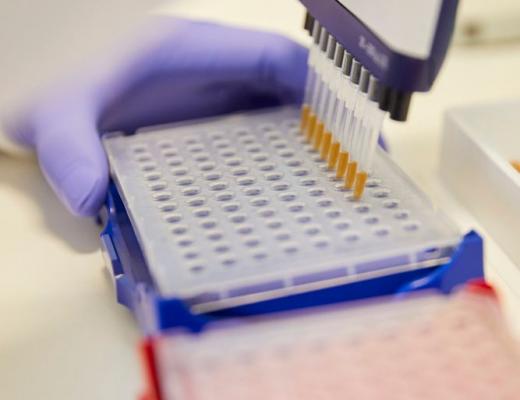 samples in a lab