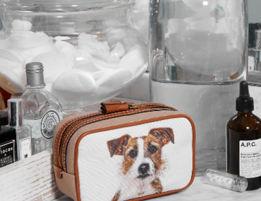 anya hindmarch dog handbag