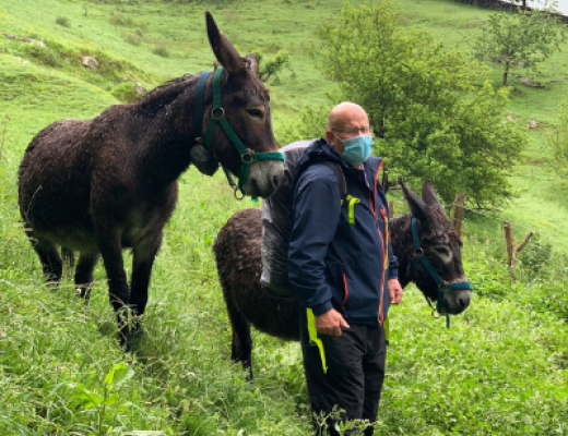 murray with donkeys