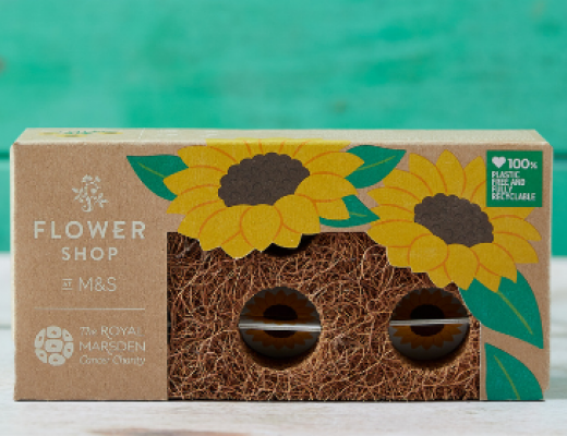 The Sunflower brick in packaging