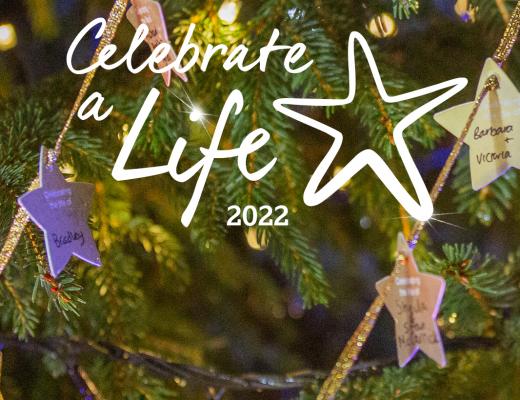 Celebrate a Life header image, star xmas decorations, fairly lights, xmas tree branches