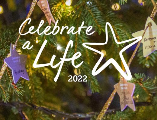 A close up photo of the branches of the Celebrate A Life Christmas tree with gold stars. In front is text saying Celebrate A Life 2022