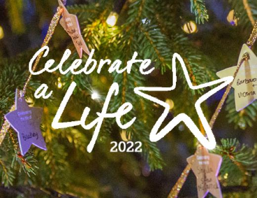 Christmas tree branches with Celebrate a Life Stars on them. In front is a star logo and text reading 'Celebrate a Life 2022'