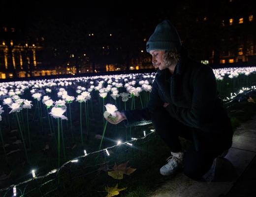 A person crouching down next to a London square filled with illuminated white roses